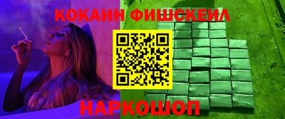гашик Гусев