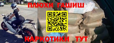 гашик Гусев