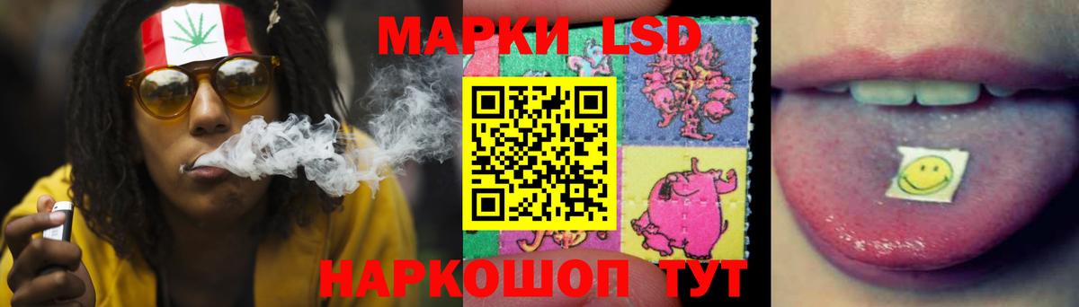 ЛСД экстази  LSD-25 экстази кислота  Новочебоксарск  Вход с VPN  ЛСД экстази кислота 