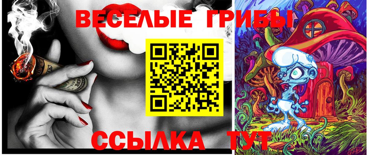 Новочебоксарск  Галлюциногенные грибы мицелий  Псилоцибиновые грибы мухоморы  Вход с VPN 